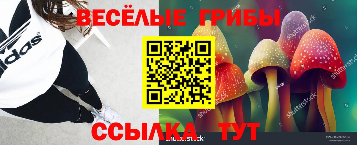 Галлюциногенные грибы ЛСД  Вход с VPN  дарнет шоп  Магнитогорск 